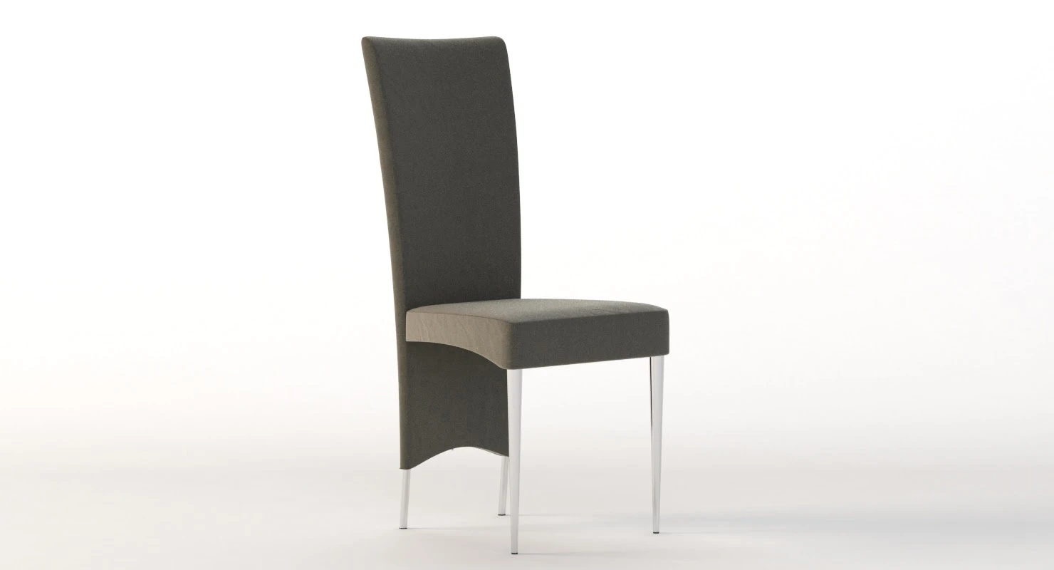 Cattelan Italia Elenoire Chair 3D Model_05