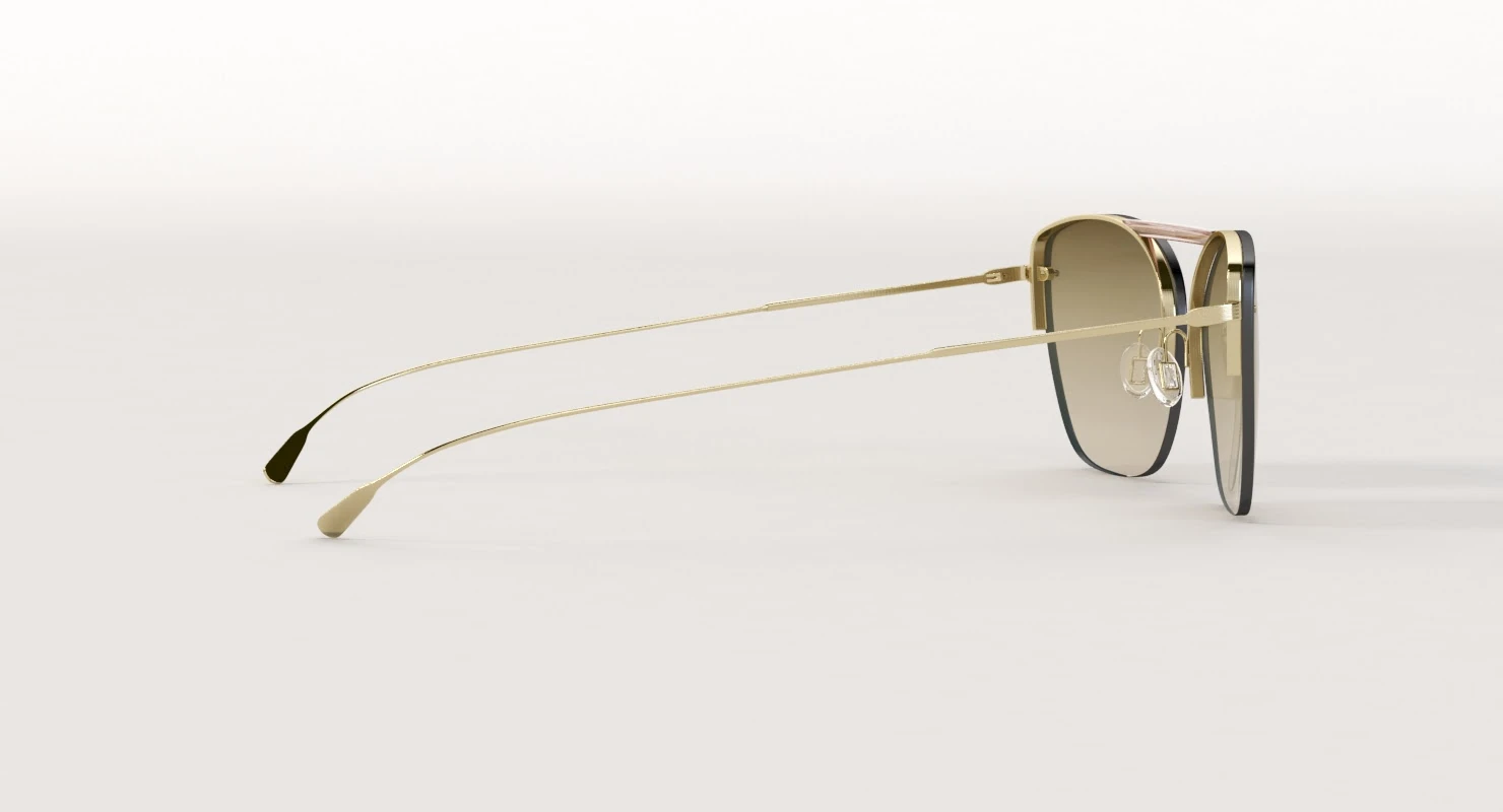 Ziane Sunglass By Oliver Peoples 3D Model_05