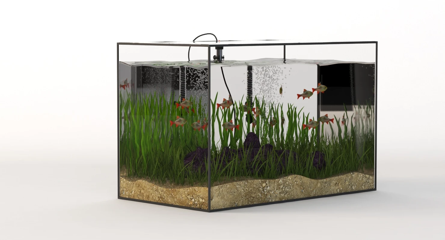 Rectangular Glass Aquarium 3D Model_05