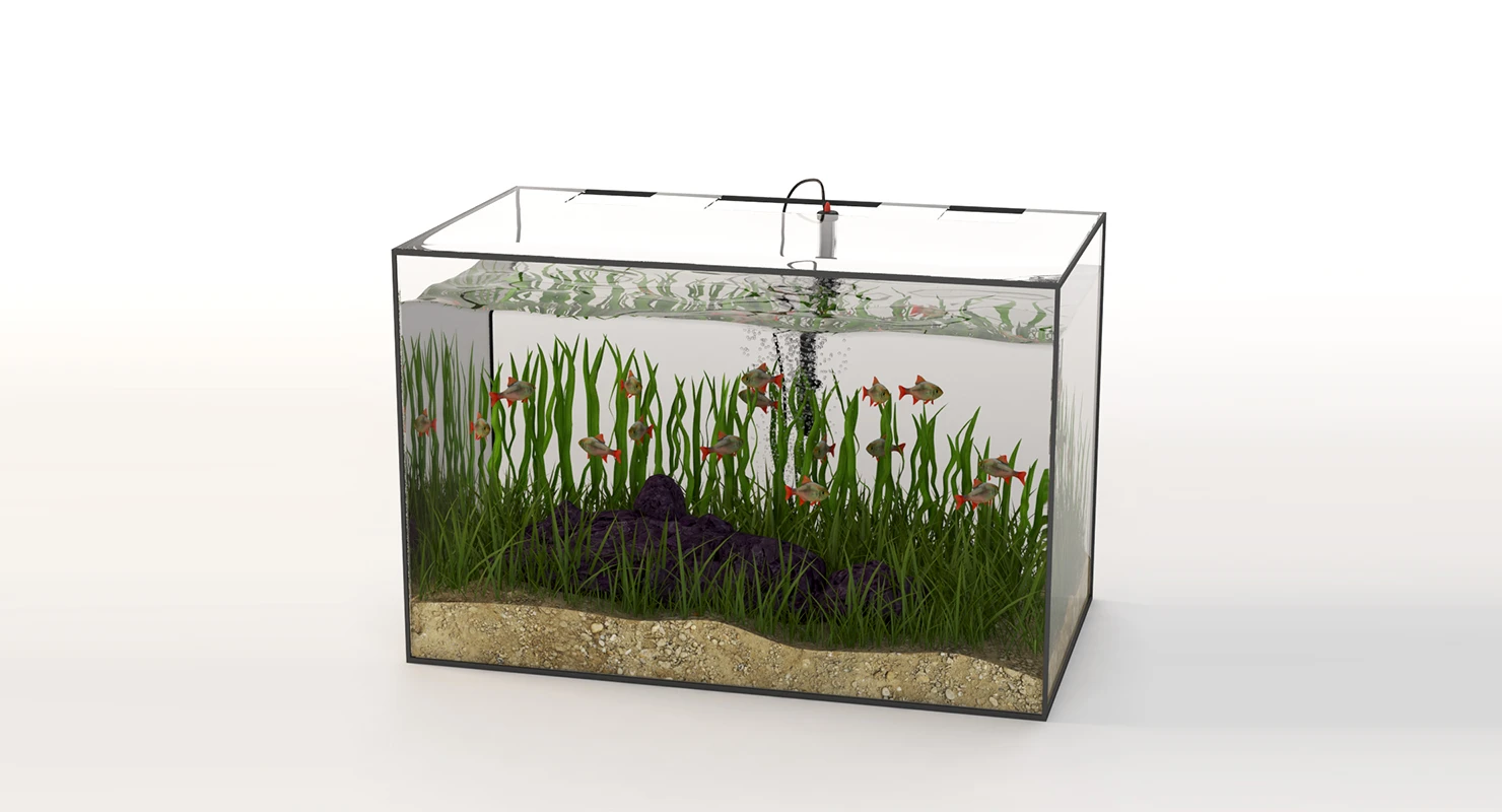 Rectangular Glass Aquarium 3D Model_01