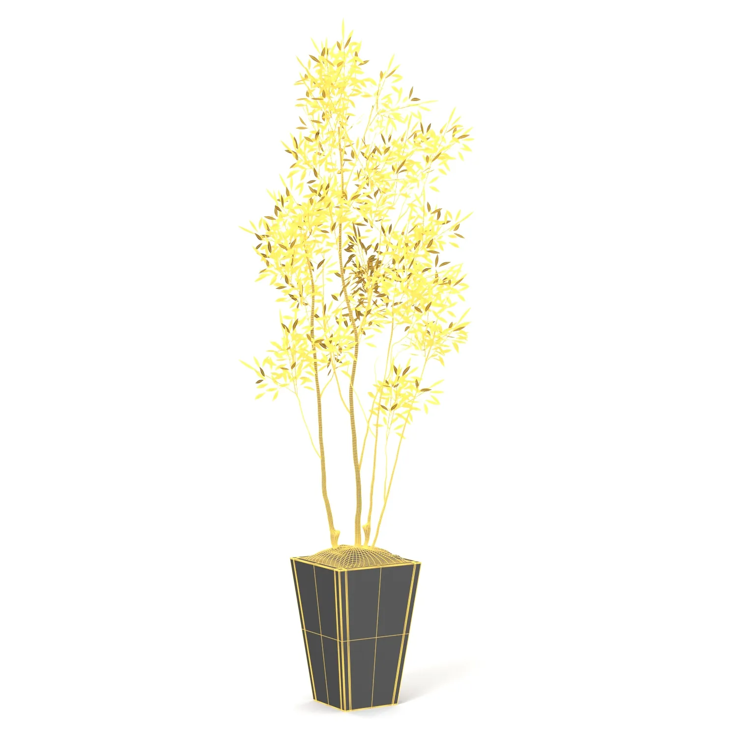 Amur Decorative Plant PBR 3D Model_07