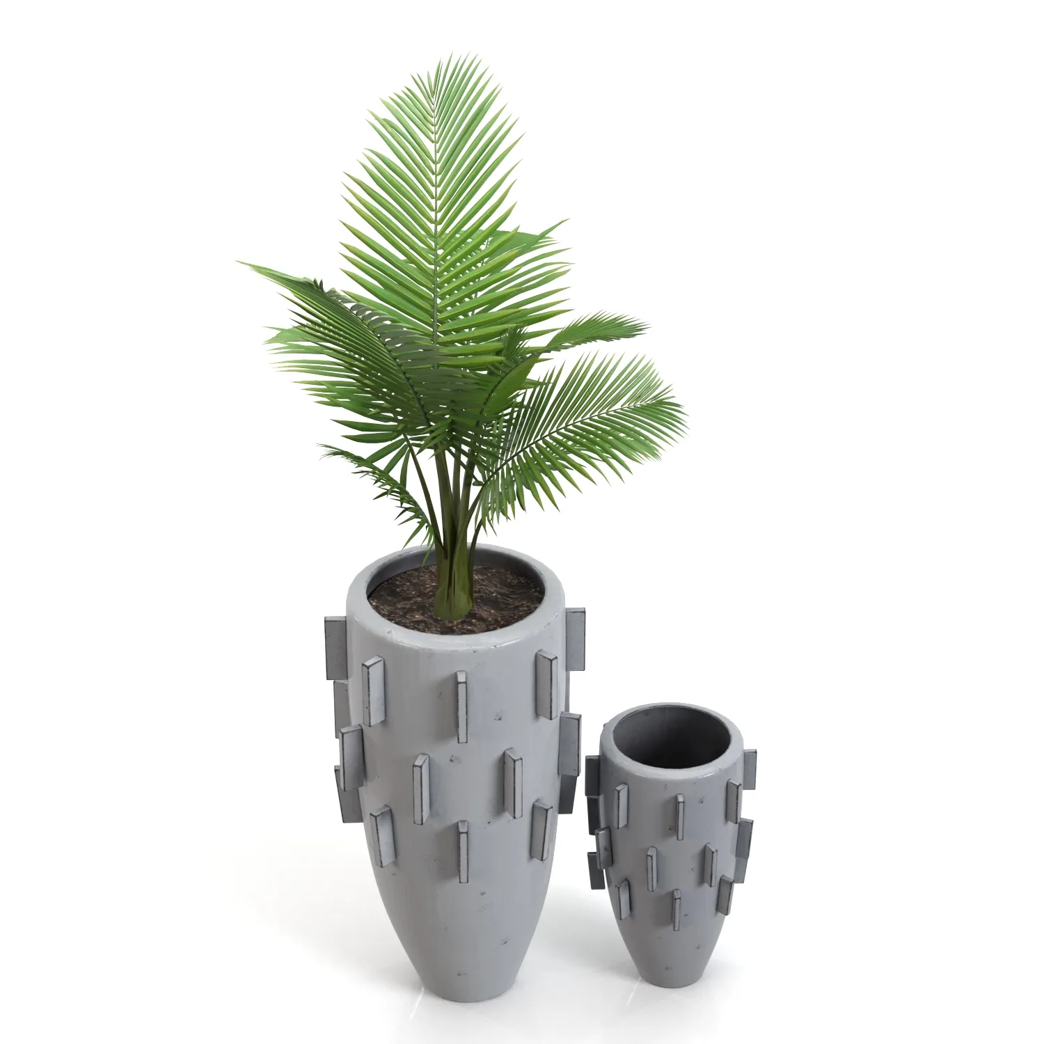 Areca Palm Ari Planter PBR 3D Model_04
