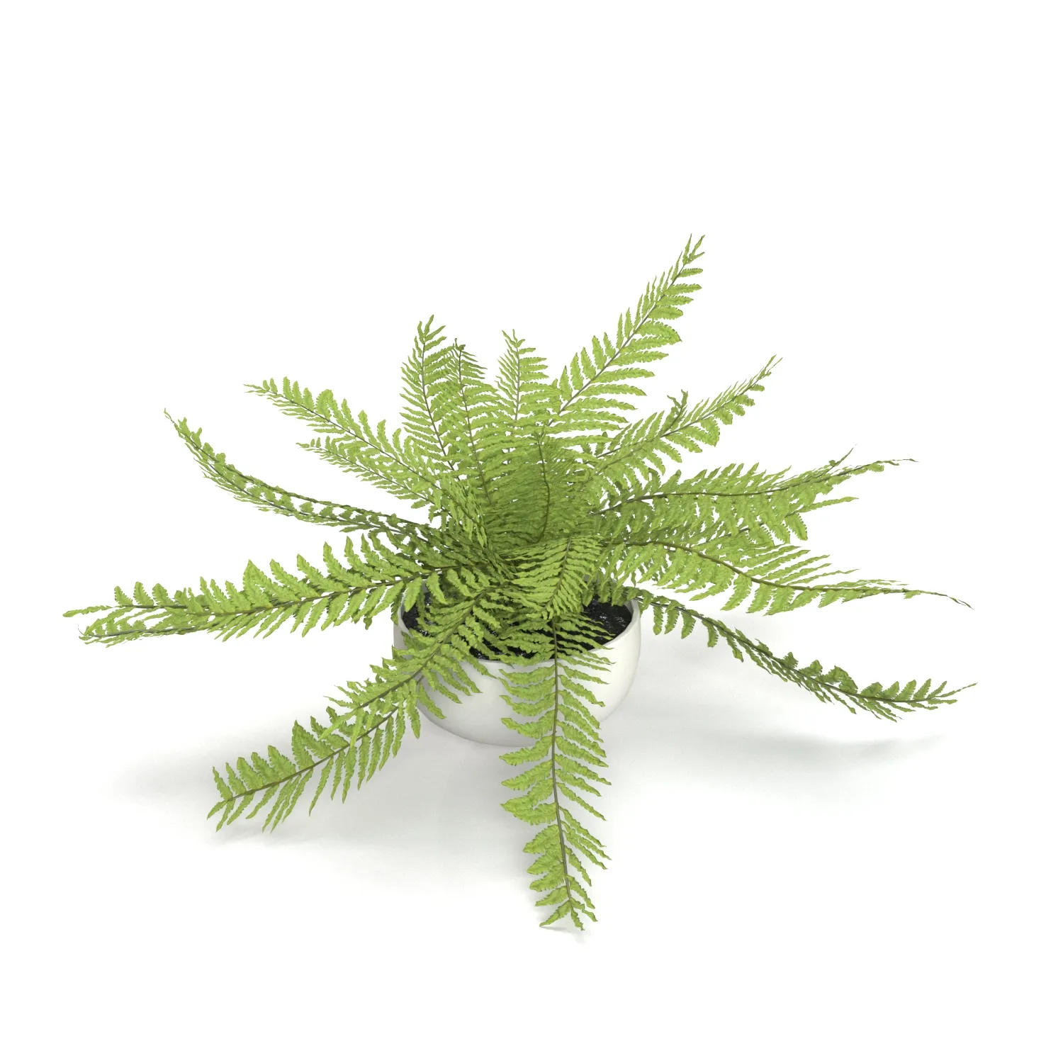 Faux Potted Fern Plant 10in PBR 3D Model_04