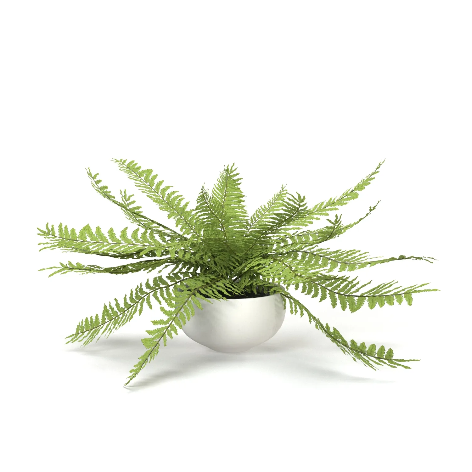 Faux Potted Fern Plant 10in PBR 3D Model_01