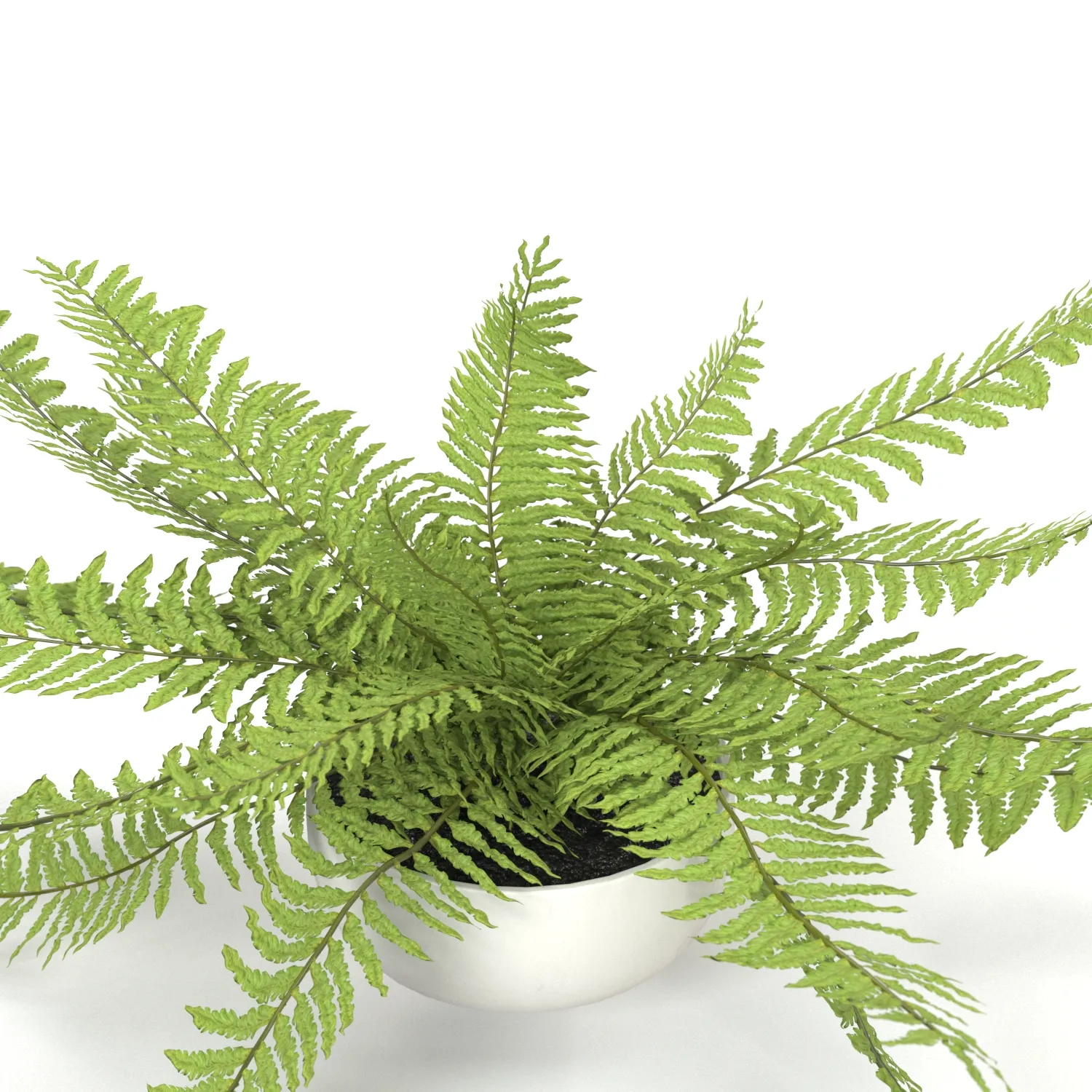 Faux Potted Fern Plant 10in PBR 3D Model_05
