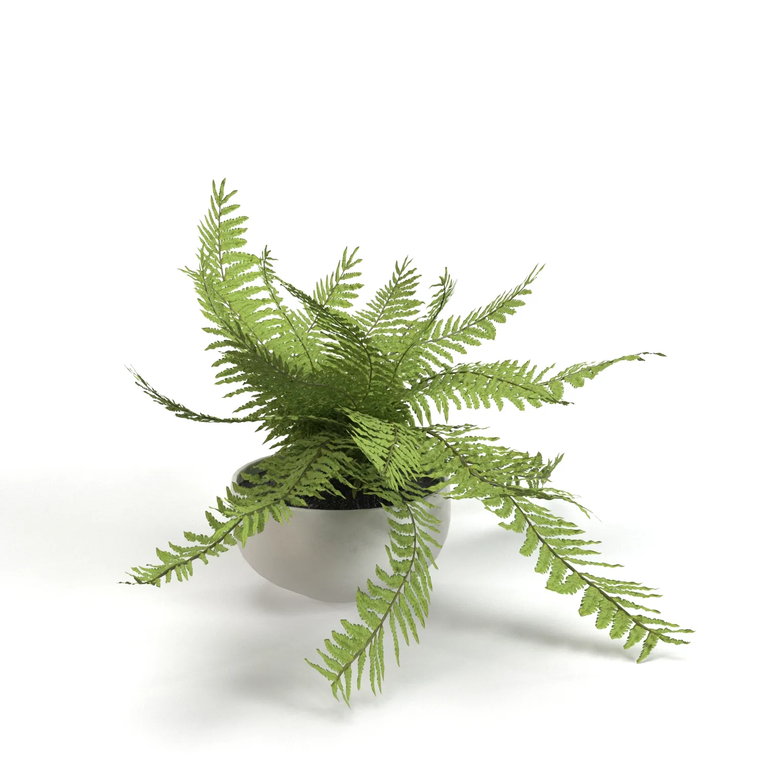 Faux Potted Fern Plant 10in PBR 3D Model_03