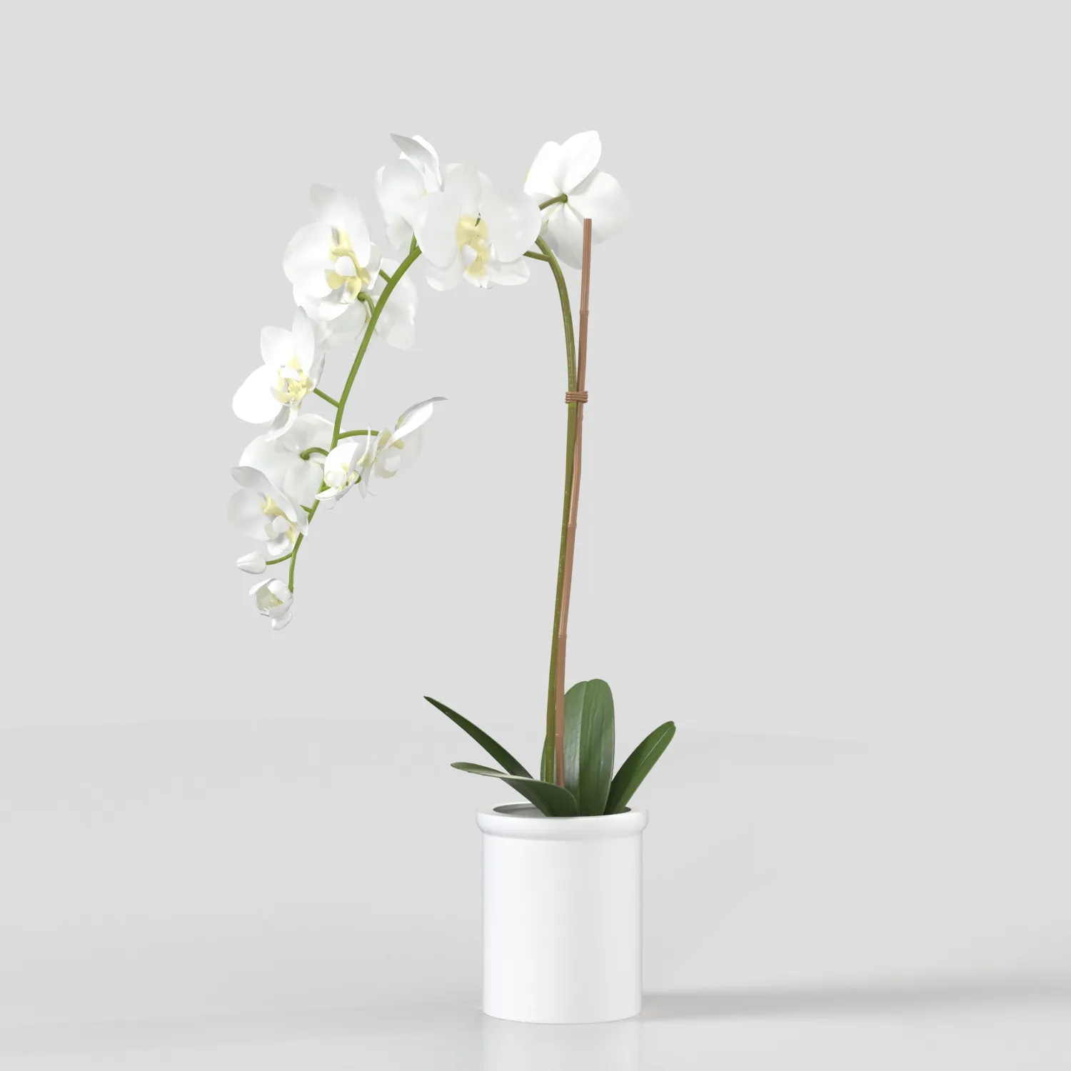 Threshold Small Potted Orchid PBR 3D Model_04