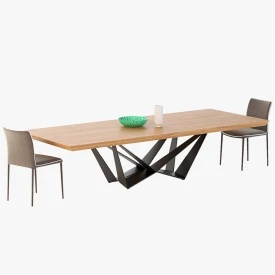 Skorpio Wood Esstisch And Chair 3D Model